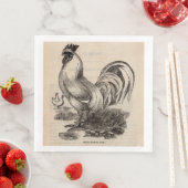 19世紀のプリント白いドークルースター (インサイチュ)