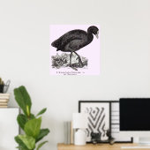 19世紀のワッセルプリント ポスター (ホームオフィス)