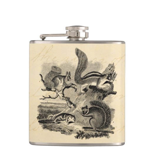 19世紀のヴィンテージのリスのイラストレーション-リス フラスク (正面)