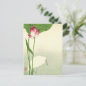 19世紀の日本の鳥 ポストカード (スタンド正面)