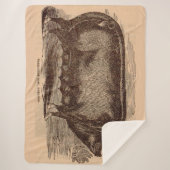 19世紀の豚プリントバークシャーno. 1 シェルパブランケット (正面)