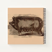 19世紀の豚プリントバークシャーno. 1 ノートブック (裏面)
