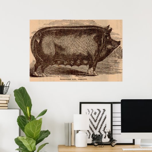 19世紀の豚プリントバークシャーno. 1 ポスター (ホームオフィス)