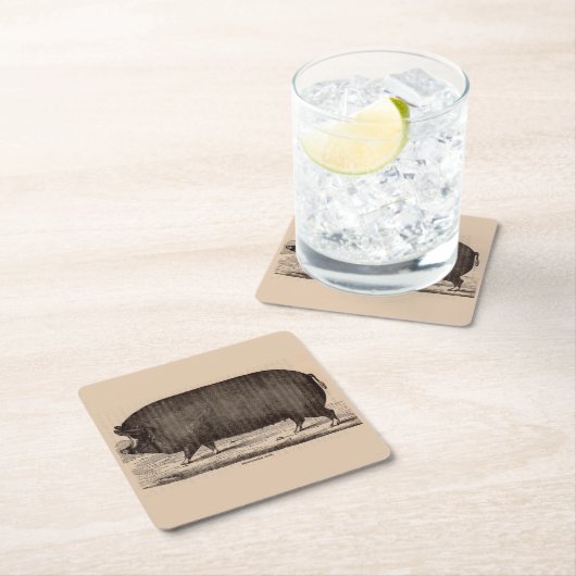 19世紀の農場アニマルプリントバークシャー第2位 スクエアペーパーコースター (インサイチュ)