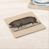 19世紀の農場アニマルプリントバークシャー第2位 スクエアペーパーコースター (アングル)