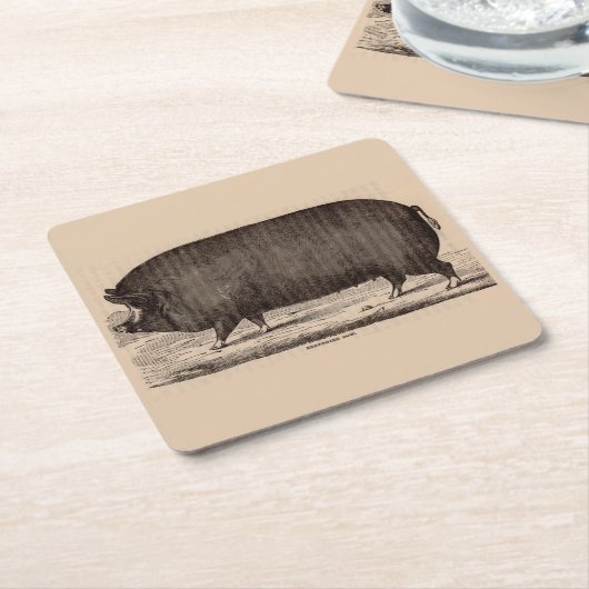 19世紀の農場アニマルプリントバークシャー第2位 スクエアペーパーコースター (アングル)