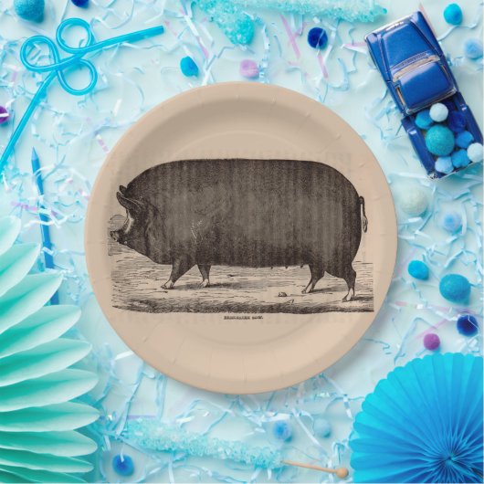 19世紀の農場アニマルプリントバークシャー第2位 ペーパープレート (パーティー)