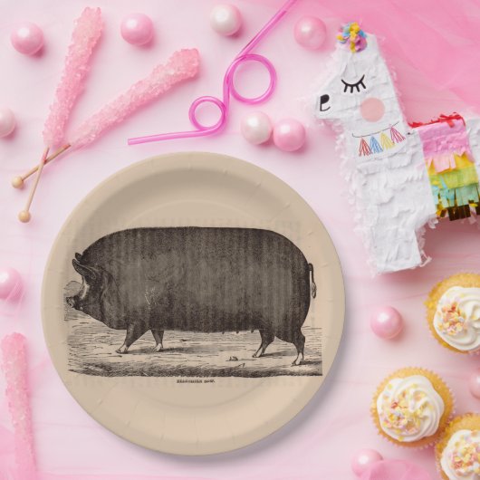 19世紀の農場アニマルプリントバークシャー第2位 ペーパープレート (パーティー)