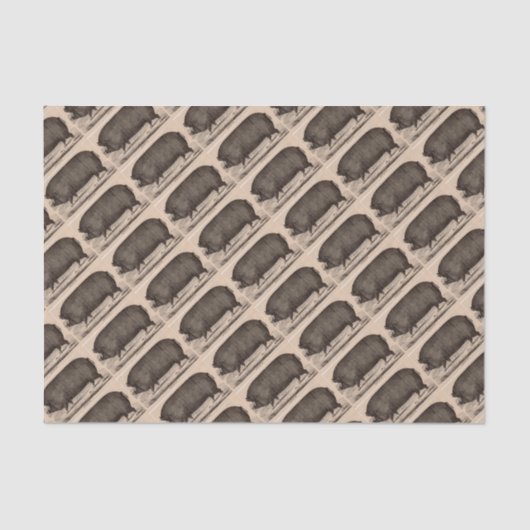 19世紀の農場アニマルプリントバークシャーno.2 薄葉紙 (正面)