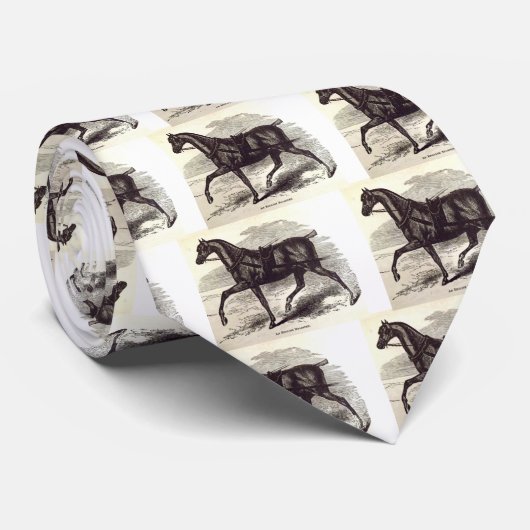 19世紀イギリスのロードスター ネクタイ (ロール)