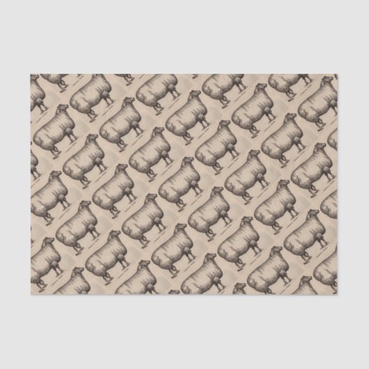 19世紀プリントコッツウォルド羊 薄葉紙 (正面)