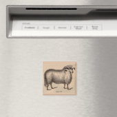 19世紀プリントドーセットラム マグネット (インサイチュ (食洗機))