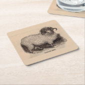 19世紀プリントハイランド羊 スクエアペーパーコースター (アングル)