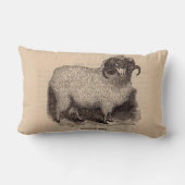 19世紀プリントハイランド羊 ランバークッション (裏面)