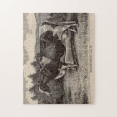 19世紀プリントホルスタインheifer ジグソーパズル (縦)