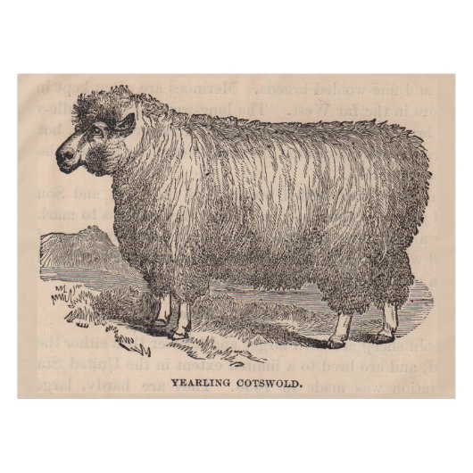 19世紀プリント憧れのコッツウォルド羊 テーブルクロス (正面(横))
