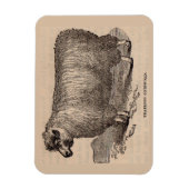 19世紀プリント憧れのコッツウォルド羊 マグネット (縦)