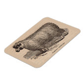 19世紀プリント憧れのコッツウォルド羊 マグネット (左側)