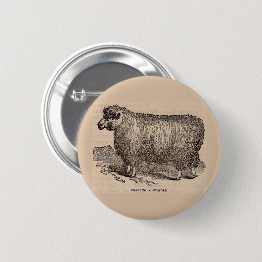 19世紀プリント憧れのコッツウォルド羊 缶バッジ (正面&裏面)