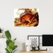 19世紀ボブキャットプリント ポスター (ホームオフィス)