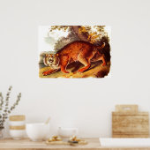 19世紀ボブキャットプリント ポスター (キッチン)