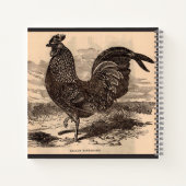 19世紀Gallus Sonneratiiルースタープリント ノートブック (裏面)