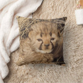 19日歳男の子。ナミビア クッション (ブランケット)