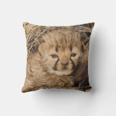 19日歳男の子。ナミビア クッション (裏面)