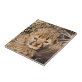 19日歳男の子。ナミビア タイル (側面)