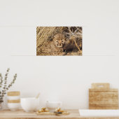 19日歳男の子。ナミビア ポスター (キッチン)