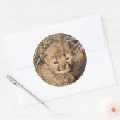 19日歳男の子。ナミビア ラウンドシール (封筒)