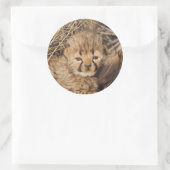 19日歳男の子。ナミビア ラウンドシール (バッグ)