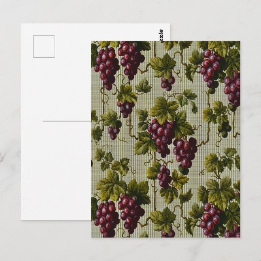 1900ヴィンテージぶどう果実植物学デザイン ポストカード (正面/裏面)