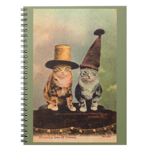 1900匹の猫が帽子をかぶったRPPC ノートブック (正面)