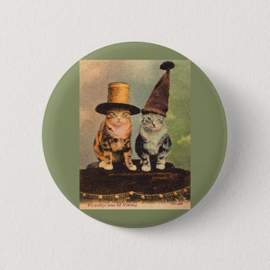 1900匹の猫が帽子をかぶったRPPC 缶バッジ (正面)