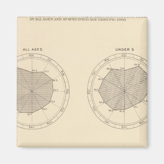 1900年の月ごとの113人の死亡 マグネット (正面)