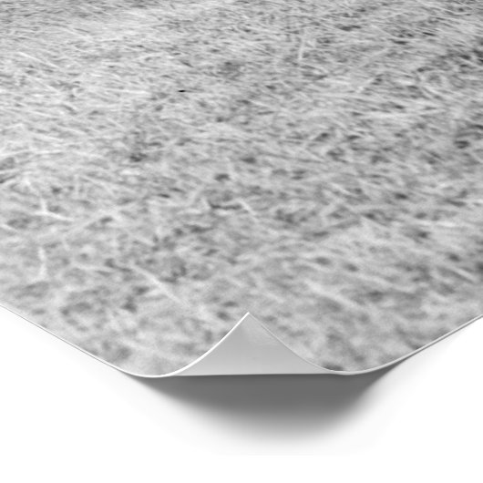 1900年代初期のピントサイズのパントロン ポスター (角)