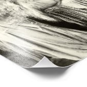 1900年代初期のフランスの美しい フォトプリント            (角)