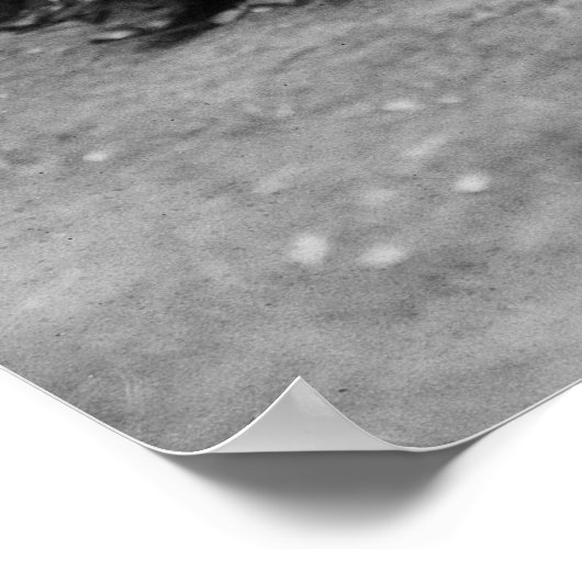 1900年代初頭のエリス島で待ち構えている ポスター (角)