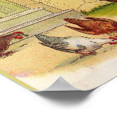 1900年頃食べ物を与えのニワトリプリント ポスター (角)