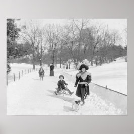 1900年、セントラルパークの冬。ヴィンテージ写真 ポスター