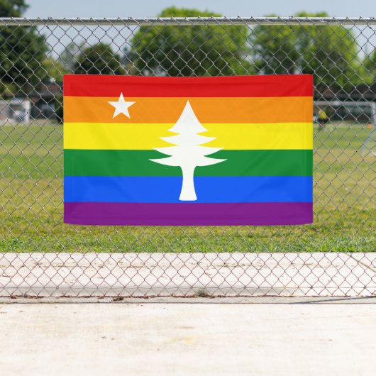 1901メインフラグアウトドアバナー-レインボーエディション 横断幕 (インサイチュ)