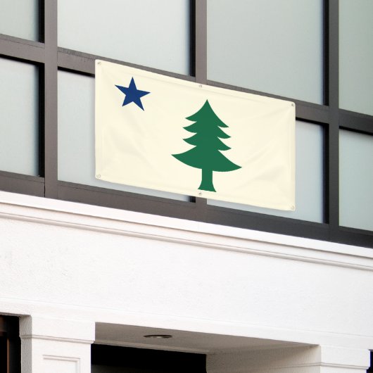 1901メイン州旗の屋外バナー 横断幕 (ビルの外側)