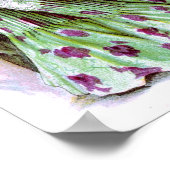 1901ヴィンテージドレス ポスター (角)