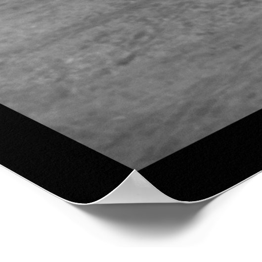 1901年サハラ砂漠で馬車を引くラクダ ポスター (角)