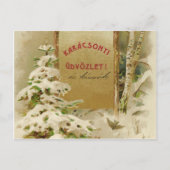 1901年ハンガリーのクリスマスポストカード シーズンポストカード (正面)
