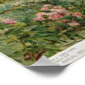 1901来年のPears AnnualのThe's Nelson ポスター (角)