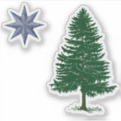 1901 Maineフラグのステッ澄んクセット – ヴィンテージスタイル シール (正面)