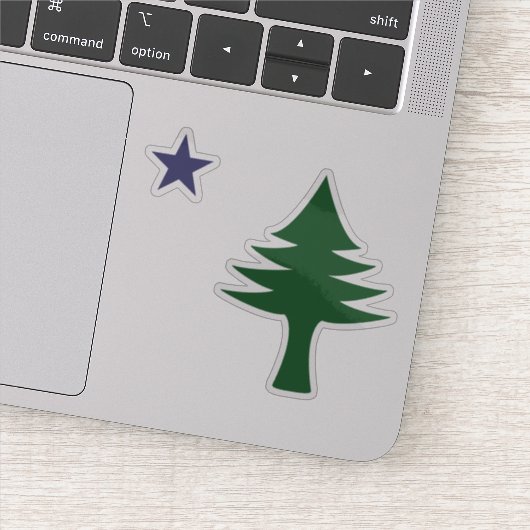 1901 Maine国旗のステッ澄んクセット シール (詳細)