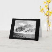 1902年アルゼンチンのアコンカグア山 カード (黄色い花)